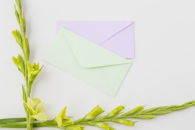 Çiçek Glayöl ve yukarıdan beyaz arka plan üzerinde iki zarflar, üstten görünüm, düz yatıyordu, kopya alanı metin için