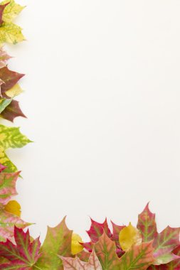 Beyaz arka plan üzerinde çerçeve yaprak. Dikey görüntü