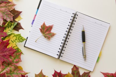 Açık defter, beyaz arka plan üzerinde sonbahar yaprakları ile çerçeveli. Düz yatıyordu. Üstten Görünüm. Boş kopya alanı metin için