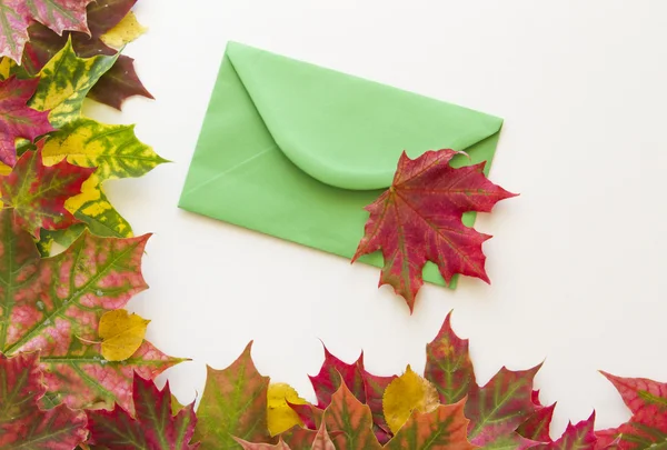 Hojas coloridas de otoño y envoltura verde sobre fondo blanco. De cerca. . — Foto de Stock