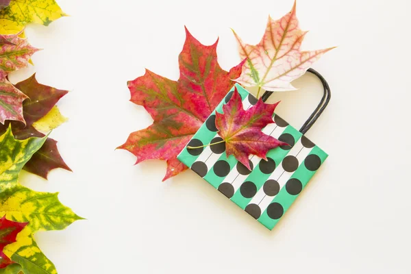Folhas de outono coloridas e saco de papel de bolinhas no fundo branco. Deitado. Vista superior — Fotografia de Stock