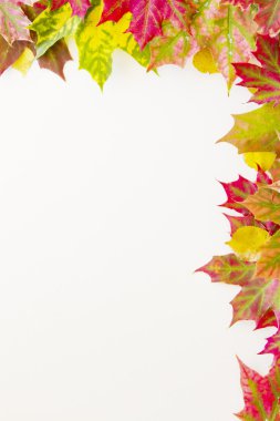 Beyaz arka plan üzerinde renkli sonbahar yaprakları kenarlık.