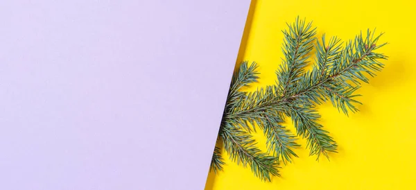 노란색과 회색 배경에 작은 전나무 가지가 있다. 크리스마스와 새해 깃발 배경. 위에서 본 풍경 — 스톡 사진