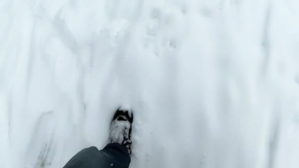 Ноги людини, що ходять на снігу зі слідами в сніжний день. 4k відео — стокове відео