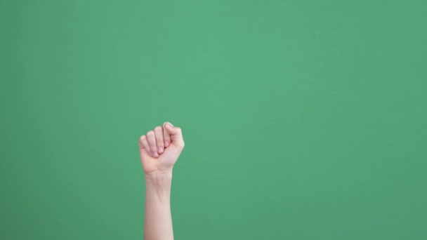 Tellen op vingers concept. Verhoogde hand van het kind toont 1, 2, 3, 4, 5 vingers omhoog over chroma zeer belangrijke groene scherm achtergrond — Stockvideo