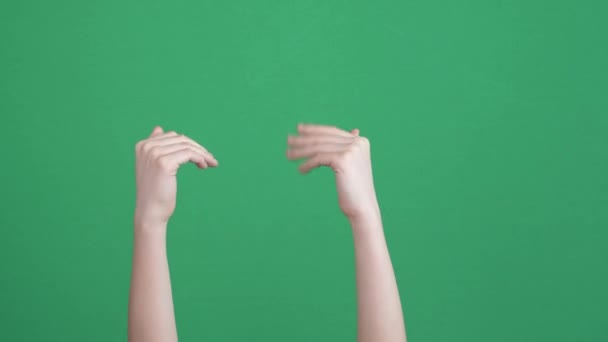 手举起来欢迎，欢迎在彩色键绿色屏幕背景上签名 — 图库视频影像