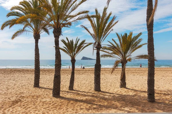 Δημοφιλές ισπανικό θέρετρο Benidorm, Ισπανία. Σχεδόν άδεια παραλία Levante σε μια ηλιόλουστη μέρα — Φωτογραφία Αρχείου