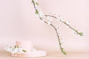 Geometrik podyum platformu ürün sunumu ve pastel arka planda beyaz çiçekli bahar çiçekli ağaç dalı için. Ön görünüm