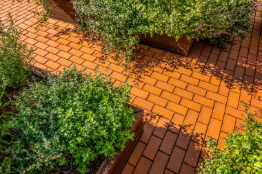 Bitkiler otlar baharat meyveler ve sebzeler şehirde büyüyen bir kentsel bahçede baskın düzenledi yataklar