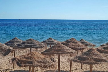 Okyanus ya da deniz kenarındaki kumlu sahilde saman şemsiyeli plaj sahnesi.