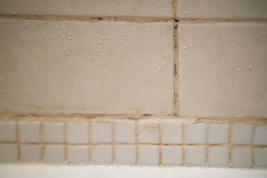 Banyo Döşemeleri ve Seramik Duvar Nemlendirmesinde Siyah Küf Büyüyor.