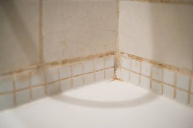 Banyo Döşeme Izgarasında Siyah Küf Büyüyor ve Seramik Duvar Köşesi Nem Kapatma Hasarı.
