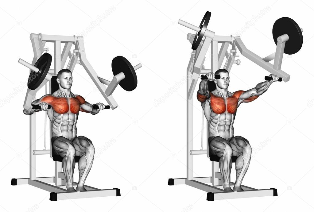 Press Hammer Strength Gym Simulator Stock Photo C Print4ready
