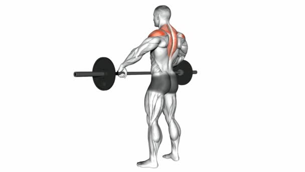 Front shoulder broach with barbell — Stock Video