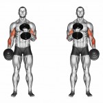 Cross body hammer curls — Stock Photo ©