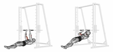 Brachialis üzerinde pull-up