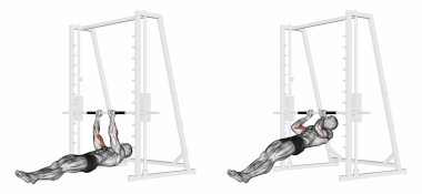 Pull-ups on the brachialis clipart