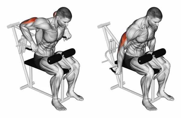 Presses in simulator on triceps muscle, lying on the bench — Stock Photo, Image