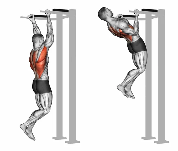 Reverse grip pull-ups on the back muscles — Stock Photo, Image