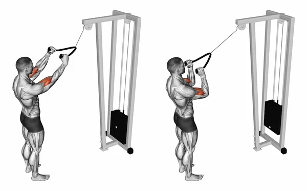 PULLDOWN utöva musklerna i biceps — Stockfoto