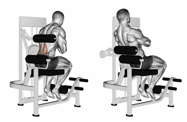 Back Extension machine Stockfoto