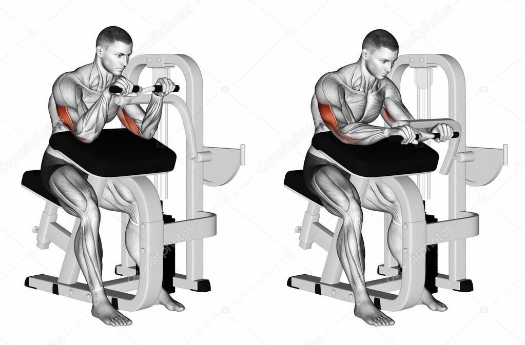 Life fitness трицепс. трицепс на тренажере. разгибание на трицепс в тренажере. тяга верхнего блока узким хватом стоя. тренажер cybex на бицепс.