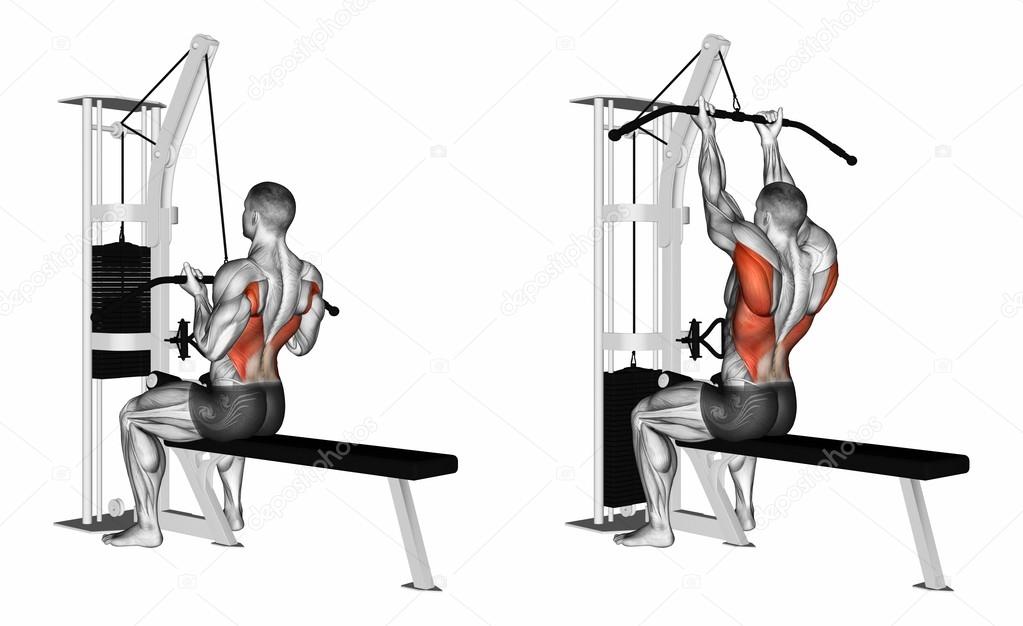 30 Minute Underhand Lat Pulldown Muscles Worked for Beginner
