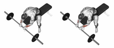 Extension of the wrist with a barbell grip on top clipart