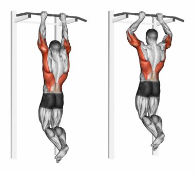 Brachialis üzerinde pull-up