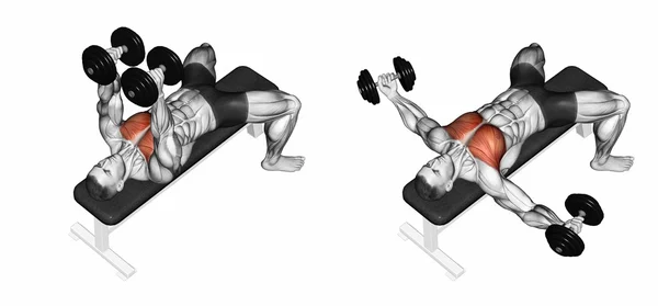 Breeding dumbbells lying — Stock Photo, Image