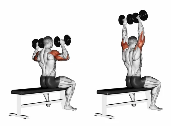 Banco dumbbell sentado — Foto de Stock