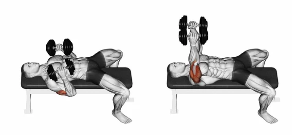 Dumbbell bench press lying down with your elbows pressed — Stock Photo, Image