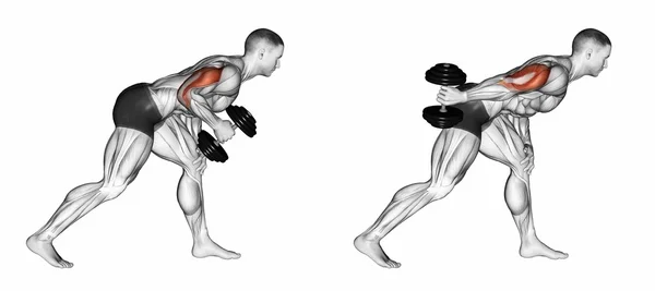 Extension of one hand back with a dumbbell in the slope — Stock Photo, Image