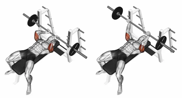 Barbell extension couché — Photo