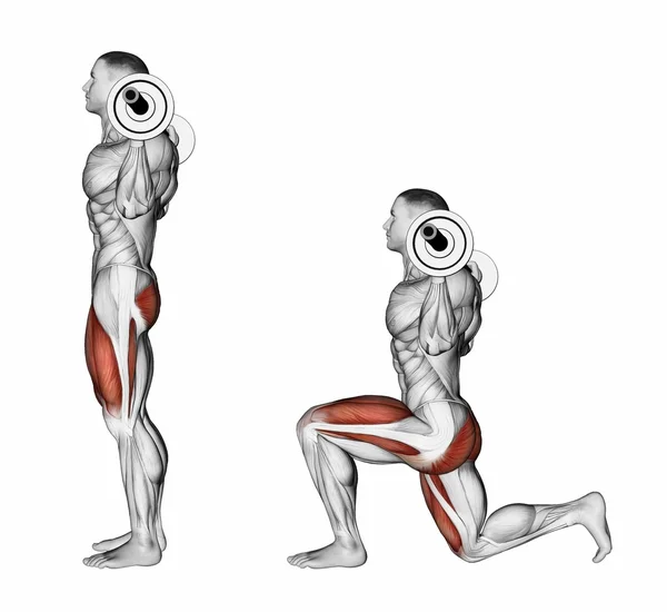 Illustration about Back projection of the human body. Showing muscle groups  that work during exercise. Exercising for…