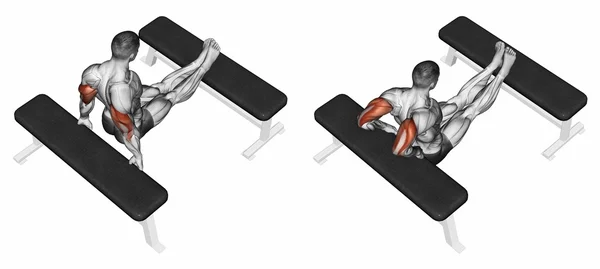 Squeezing triceps back to the bench, lying on the bench — Stock Photo, Image