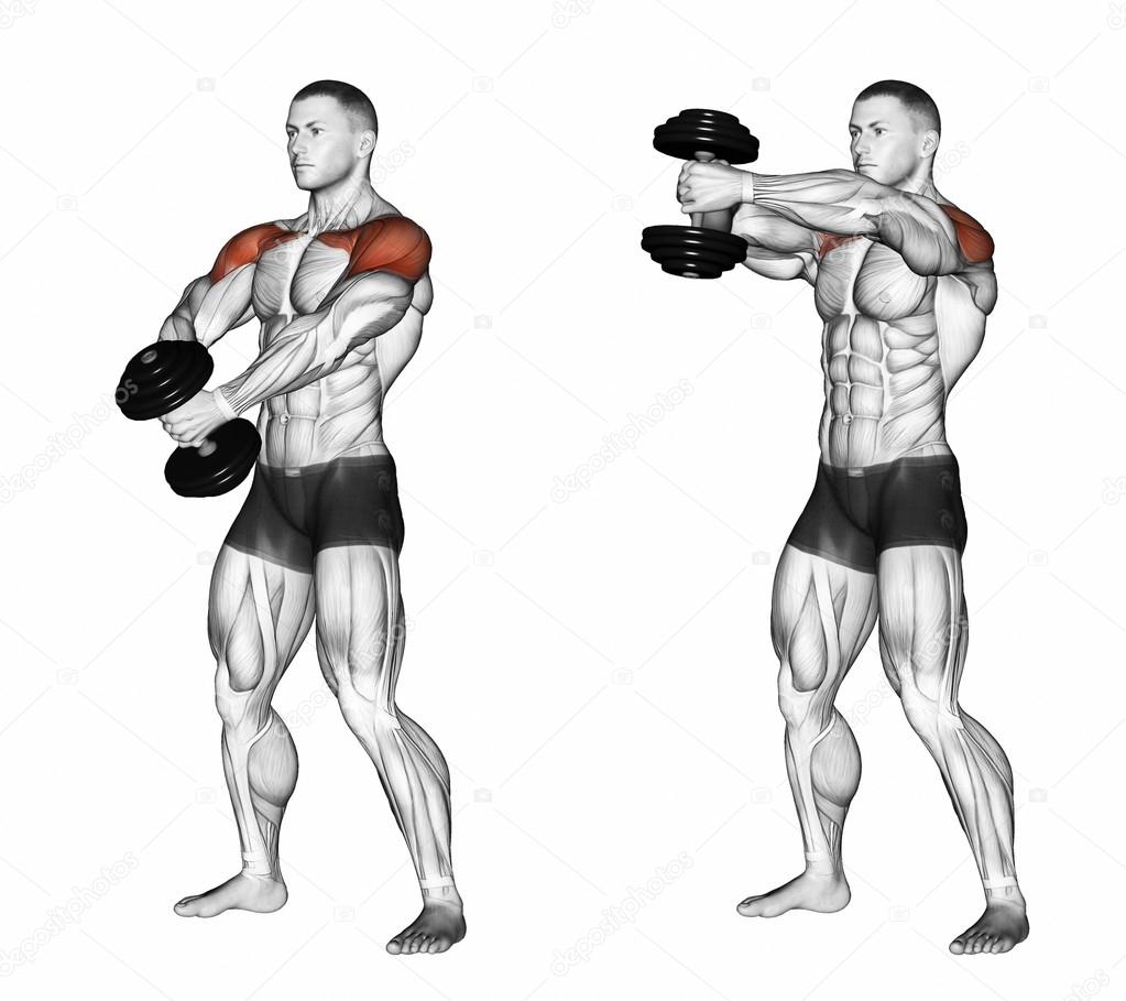 Dumbbell Exercises One Arm Shoulder Exercises Dumbbell Shoulder