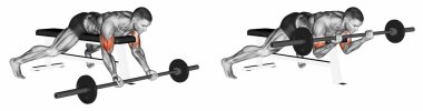 Yüksek tezgah barbell curl yalan