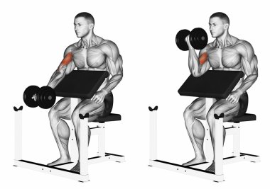 Bir kol dumbbell vaiz kıvırmak