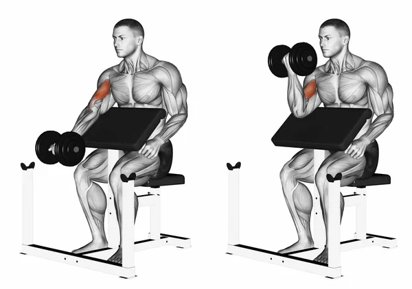 Dumbbell bicep preacher curl