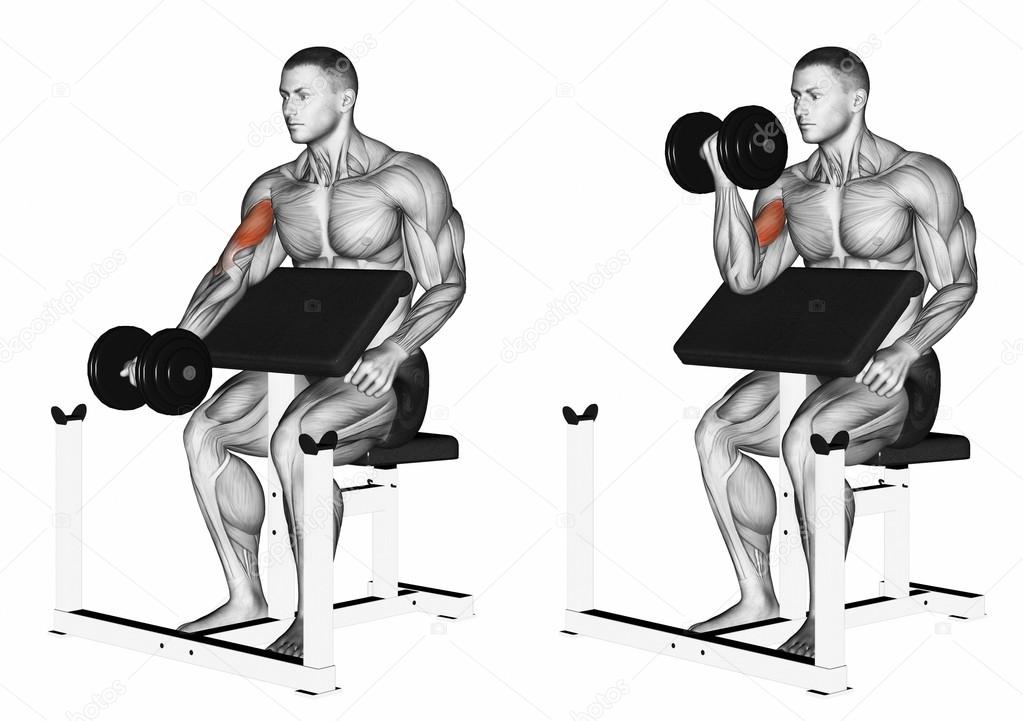 One arm dumbbell preacher curl Stock Photo by ©print4ready@yahoo.com  114227956