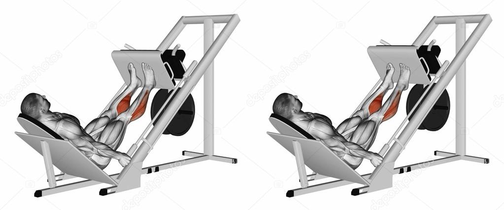 Тренировка на гребном тренажере. Тренажер мышцы работа. Гааг тренажер. Жим ногами лежа на тренажере. Жим платформы лежа.