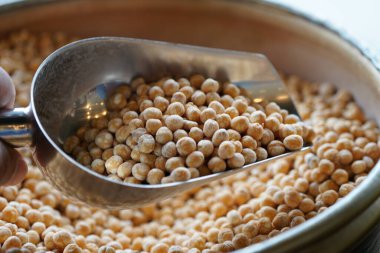 Satılık bir kürek içinde otluyor.