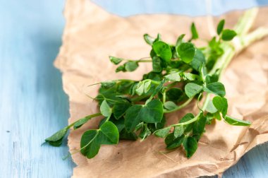 yeşil taze bezelye filizleri kağıt üzerinde ve mavi ahşap arka planda