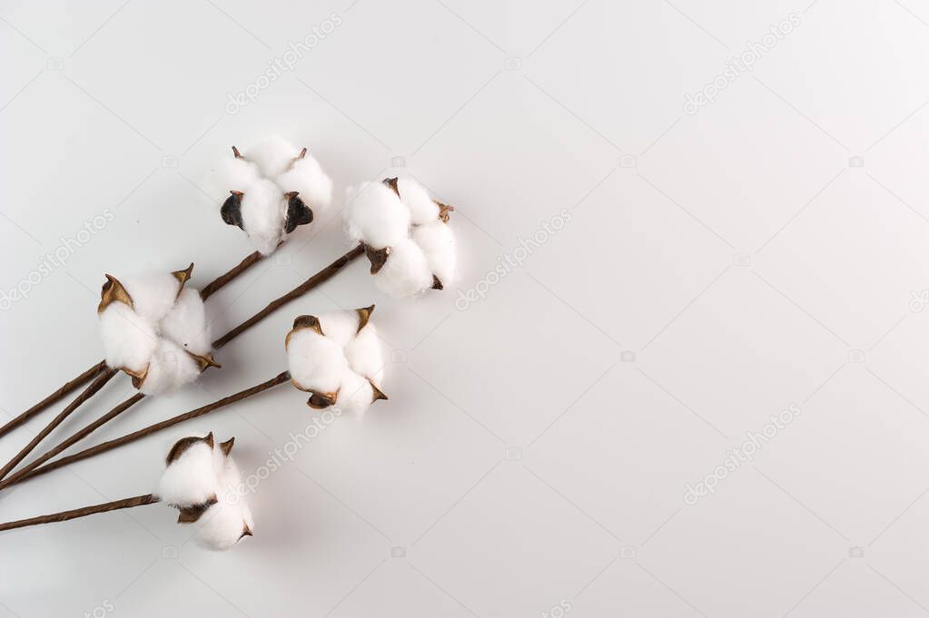 white background with flowers for text placement