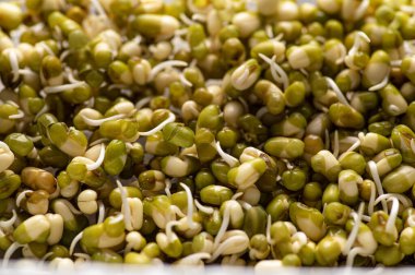 Filizlenmiş mung tohumları, yakından, doku