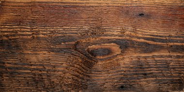 Yanmış kozalaklı ağaç dokusu, yakın plan, üst görünüm