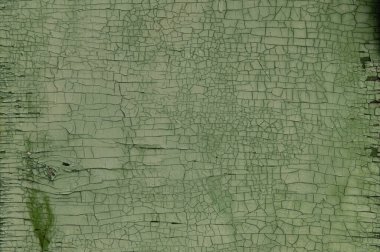 Eski boyanmış kontrplak deseni yeşil renk, desen, doku, soyut çizim