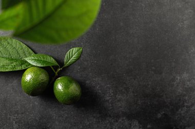 Gri taşlı arka planda yaprakları olan iki olgun avokado, üst görünüm, metin için boş boşluk