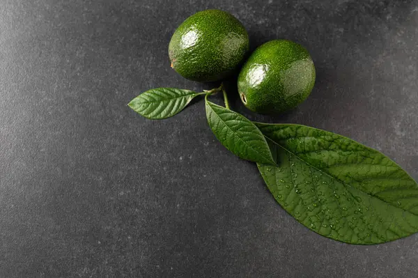 Deux Avocats Mûrs Avec Des Feuilles Sur Fond Pierre Grise — Photo